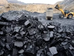 Resmi DItetapkan, Harga Batubara Acuan Juli 2024 Kompakan Naik