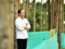 Presiden Jokowi Bakal Ngantor di IKN Senin Besok