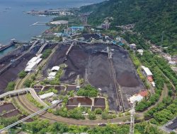 Bukit Asam Raup Laba Bersih Sebesar Rp2,03 Triliun di Semester I 2024