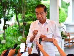 Jokowi: Pramono Anung Izin Maju Cagub Jakarta 2 Hari Lalu