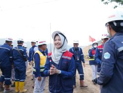 5 Tahun Kepemimpinan Erick Thohir, Transformasi SDM Dukung Kinerja Positif BUMN