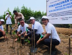 Tanam 3000 Pohon Mangrove di Tangerang, ASDP Komitmen Jaga Kualitas Perairan