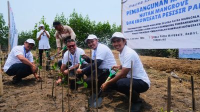 Tanam 3000 Pohon Mangrove di Tangerang, ASDP Komitmen Jaga Kualitas Perairan