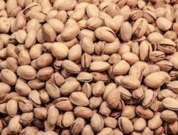 Kacang Pistachio, Camilan Bergizi dan Bermanfaat Bagi Kesehatan Mata
