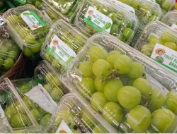 Bapanas: Tidak Ada Senyawa Berbahaya dalam Anggur Shine Muscat yang Beredar di Indonesia