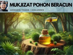 Mukjizat Pohon Paling Beracun