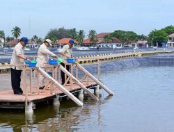 Tebar Benih Ikan Nila di Karawang, Presiden Prabowo Dorong Swasembada Pangan dan Ekonomi Biru