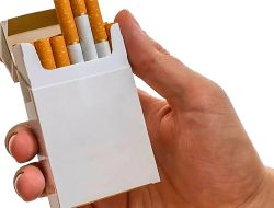 Ahli Hisap Terancam Nggak Ngebul, Mulai Januari 2025 Harga Rokok Bakal Naik Jadi Segini
