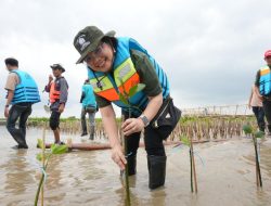 Komitmen Pelestarian Alam dan Lingkungan, AirAsia Lakukan Penanaman 10,000 Bibit Mangrove di Karawang