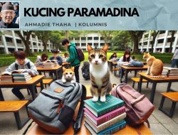 Kucing Paramadina