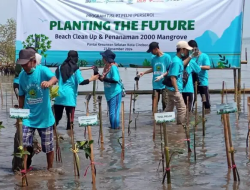 Jaga Keberlanjutan Lingkungan Pesisir, Pelni Tanam 2 Ribu Bibit Mangrove di Cirebon