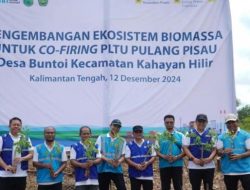PLN EPI Kelola Tanaman Gamal Untuk Cofiring PLTU Pulang Pisau Kalteng