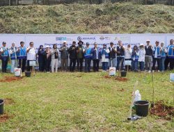 Komitmen Terhadap Keberlanjutan Lingkungan, Jasa Marga Tanam 2.500 Bibit Pohon di KM 88 A Tol Cipularang