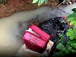 Sadisnya Kasus Mutilasi di Ngawi: Jasad Pulang Tanpa Kepala dan Kaki, Ini Permintaan Ayah Korban