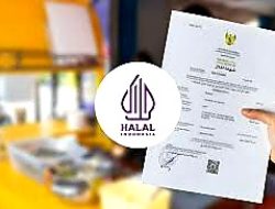 Halal Indonesia Ciptakan Lapangan Kerja dengan Penghasilan Menggiurkan, Simak Testimoni Ini