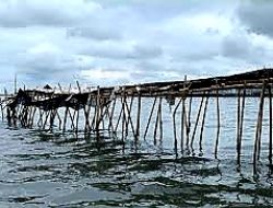 Terungkap! Sertifikat Pagar Laut Tangerang Terbit di Desa Kohod dan Desa Karang Serang