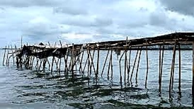Terungkap! Sertifikat Pagar Laut Tangerang Terbit di Desa Kohod dan Desa Karang Serang