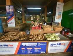 BRI Dorong Pemerataan Ekonomi dan Sediakan Lapangan Kerja Berkualitas Lewat 1 Juta AgenBRILink