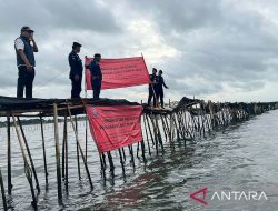 Tak Miliki Izin, MUI Minta Pemerintah Cabut Pagar Laut di Tangerang