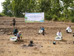 Hijaukan Brebes, PLN EPI dan Kementan Sulap Lahan Tandus Jadi Tanaman Energi
