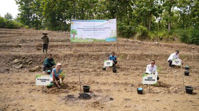 Hijaukan Brebes, PLN EPI dan Kementan Sulap Lahan Tandus Jadi Tanaman Energi