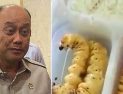 Usulan Serangga hingga Ulat Jadi Menu MBG, Dokter Tifa: Apakah Indonesia Semiskin Itu?