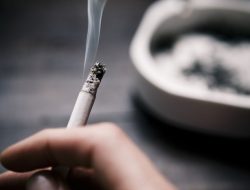 Di Indonesia, Belanja Konsumsi Rokok Hampir Setara dengan Biaya Beli Protein Hewani