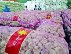 Mafia Impor Bawang Putih Diduga Kongkalikong Oknum Pejabat Dua Kementerian