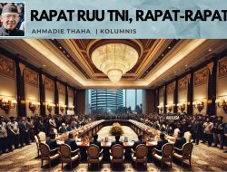 Rapat RUU TNI, Rapat-rapat
