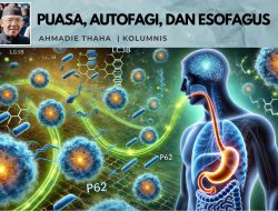 Puasa, Autofagi, dan Esofagus
