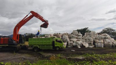 Perkuat Rantai Pasok Biomassa, PLN EPI Pasok 350 Ton Cangkang Sawit via Laut ke PLTU Tidore