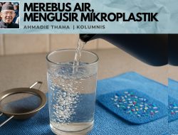 Merebus Air, Mengusir Mikroplastik