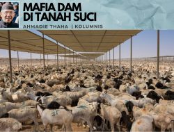 Mafia Dam di Tanah Suci