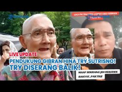Hina Try Sutrisno, Pendukung Wapres Gibran Harus Diproses Hukum