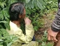 Penemuaan Nenek Misterius di Tengah Hutan Desa Beruk