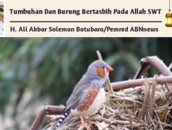 Tumbuhan Dan Burung Bertasbih Pada Allah SWT
