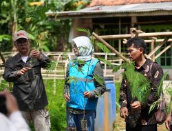 Dukung Transisi Energi, PLN EPI dan IPB Kembangkan Ekosistem Biomassa di Cilacap