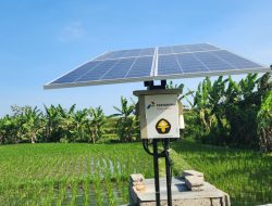Kembangkan Energi Transisi, Pertamina Dorong Kesejahteraan 408 Petani di Desa Uma Palak