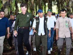 Menteri Kehutanan dan Pertamina NRE Dorong Program Aren Nasional untuk Pengembangan Bioetanol Indonesia