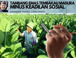 Tambang Emas Tembakau Madura Minus Keadilan Sosial