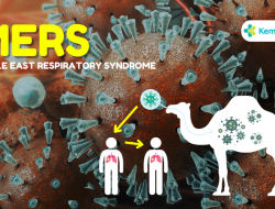 9 Kasus Terkonfirmasi Positif Virus MERS-CoV di Arab Saudi, Jemaah Haji Diimbau Hindari Kontak Langsung dengan Unta