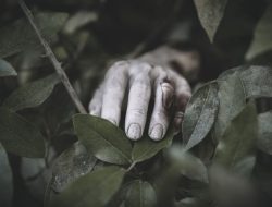 Misteri Mayat di Petilasan Hutan Karangkembang Terkuak, Polisi: Ada Tanda-Tanda Tak Wajar