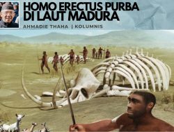 Homo Erectus Purba di Laut Madura