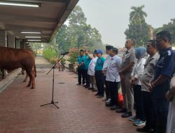 Pastikan Sesuai Standar Halal, BPJPH Gelar Pengawasan Penyembelihan Hewan Kurban