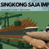 Singkong Saja Impor