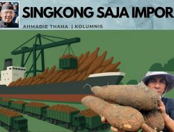 Singkong Saja Impor