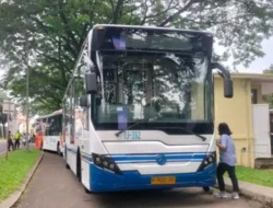 Mulai Hari Ini Transjabodetabek P11 Angkut Penumpang dari Bogor di Halte Botani Square