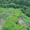 25 Hektare Ladang Ganja di Lereng Terjal Aceh Dibongkar Polisi, 2 Pelaku Diciduk
