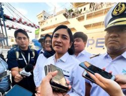 Stimulus Ekonomi PELNI Nendang, Penjualan Tiket Naik Drastis