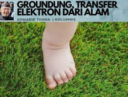 Grounding, Transfer Elektron dari Alam